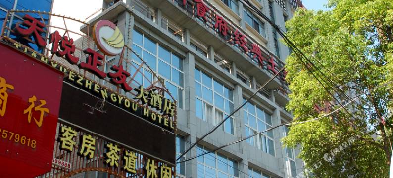 常德桃源天悦正友大酒店图片