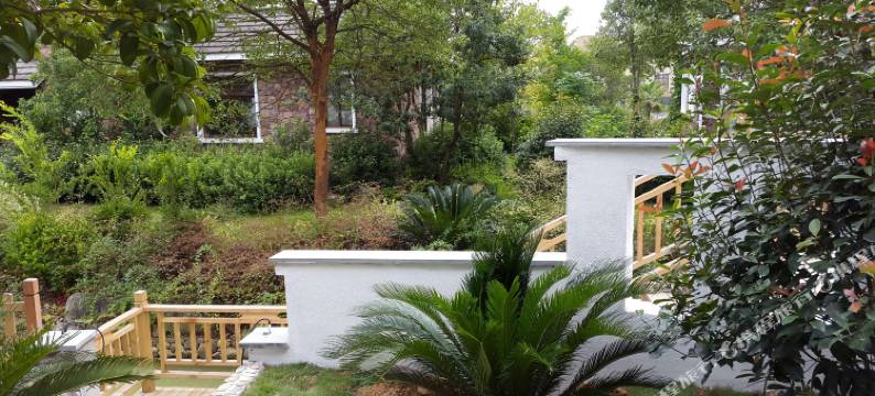 武夷山紫竹别院家庭旅馆图片