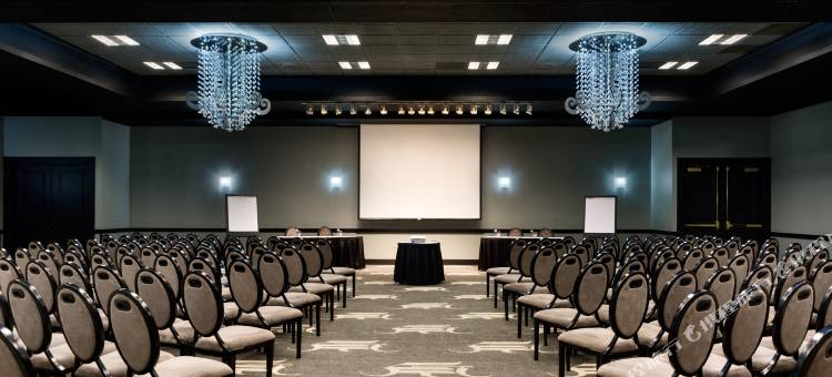 北达拉斯温德姆花园酒店(Wyndham Garden Dallas North)图片