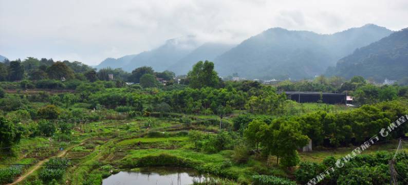 梅州雁遇民宿图片