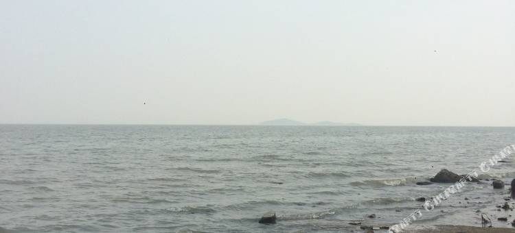 无锡芒果宾馆图片