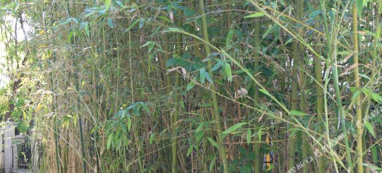 如家精选酒店(北京广渠门内地铁站鸿润店)图片