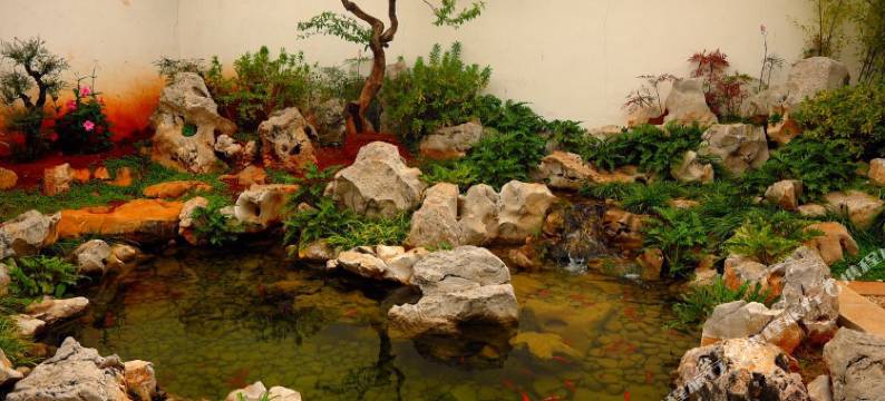 建水永宁居客栈图片