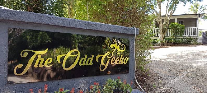 奇异壁虎酒店(The Odd Gecko)图片