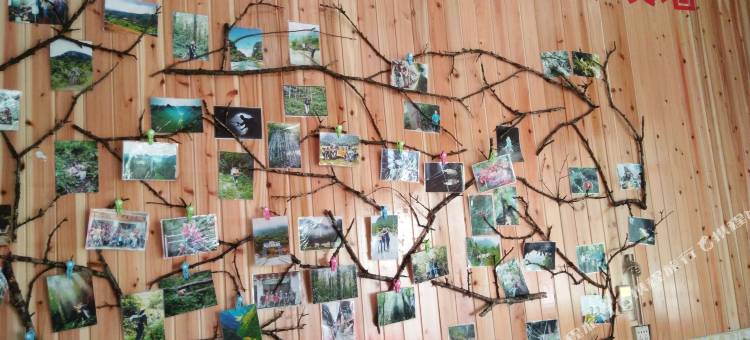 荔波茂兰驴友之家图片