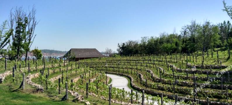 烟台龙湖葡醍海湾别墅壹号苑图片