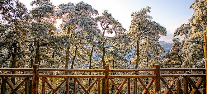 庐山忆庐民宿图片