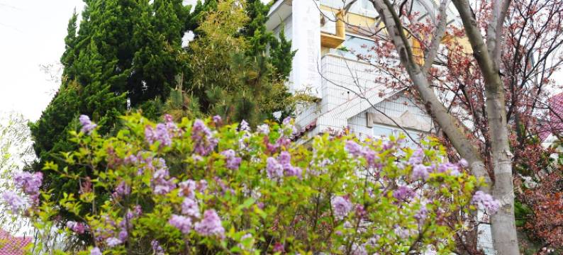 青岛觅居民宿图片