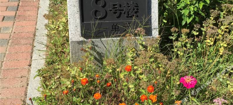 丹东五龙背温泉休闲公寓图片