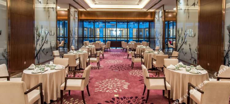 银川国际交流中心铂瑞酒店图片