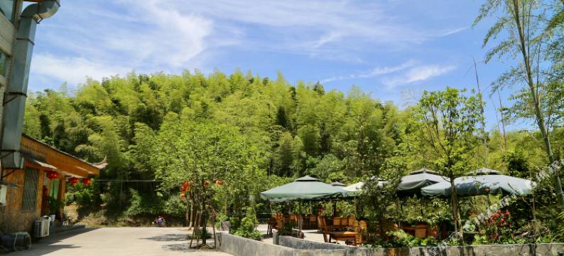 蜀南竹海竹仙酒店图片