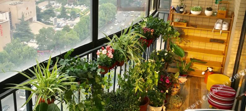 郑州七日阳光青年旅舍图片