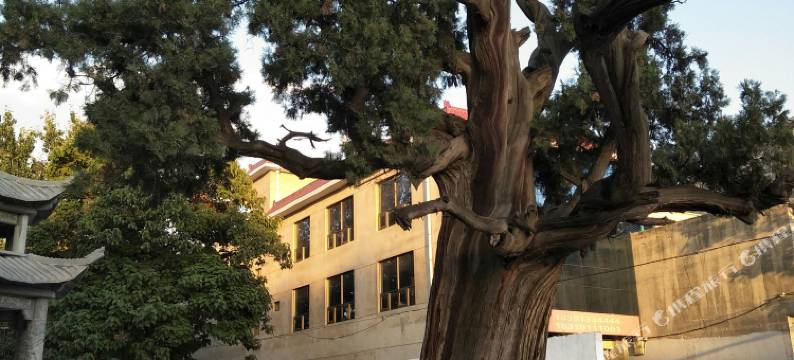 华阴科鑫客栈图片