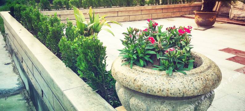 上海屋里厢手作民宿(分店)图片