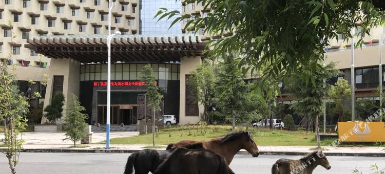 林芝五洲皇冠酒店图片