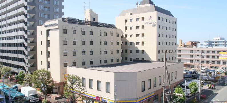 幕张枫叶旅馆(Maple Inn Makuhari)图片