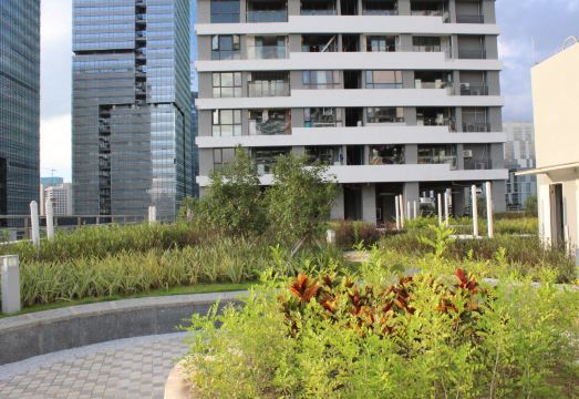 Ivy Service Apartment (Shenzhen Bay) Hotel Overview