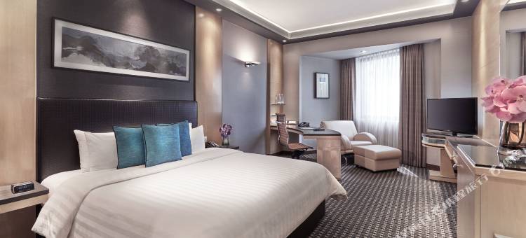 新加坡 M 酒店(M Hotel Singapore City Centre)图片