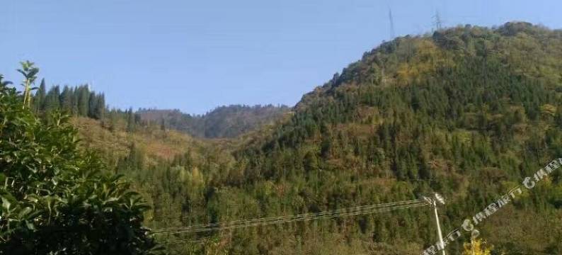 天全牛不住客栈图片