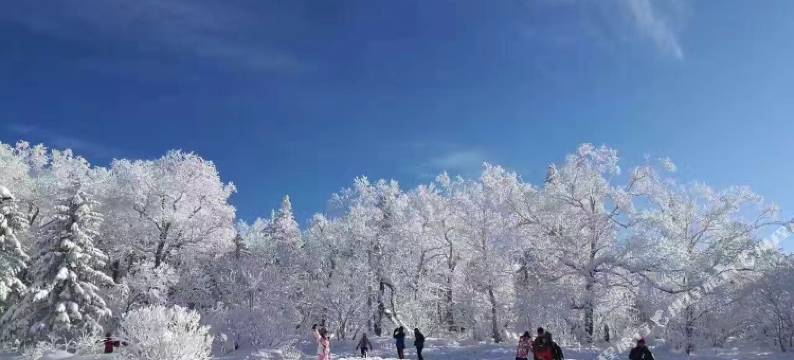雪谷·DreamSpire寻梦・特色别院(中国雪谷风景区店)图片