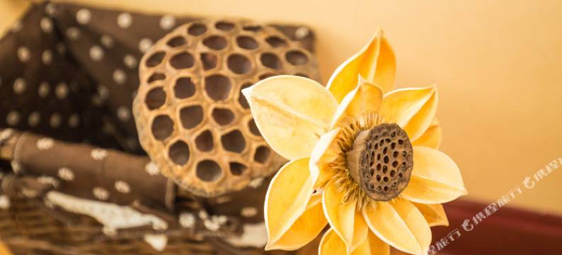 设计师的家公寓(济南济安街店)图片