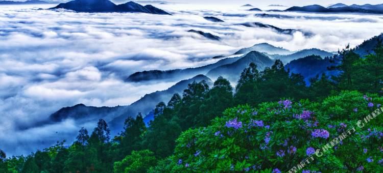 花筑·祥石雅居民宿(天台山国清景区店)图片