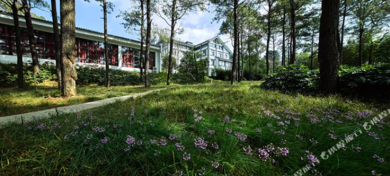 南京得半庄园度假酒店图片