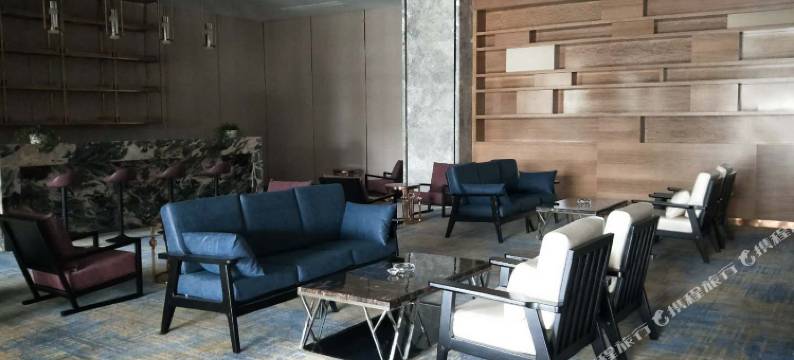 德兴铜都国际酒店(市政府宝龙广场店)图片