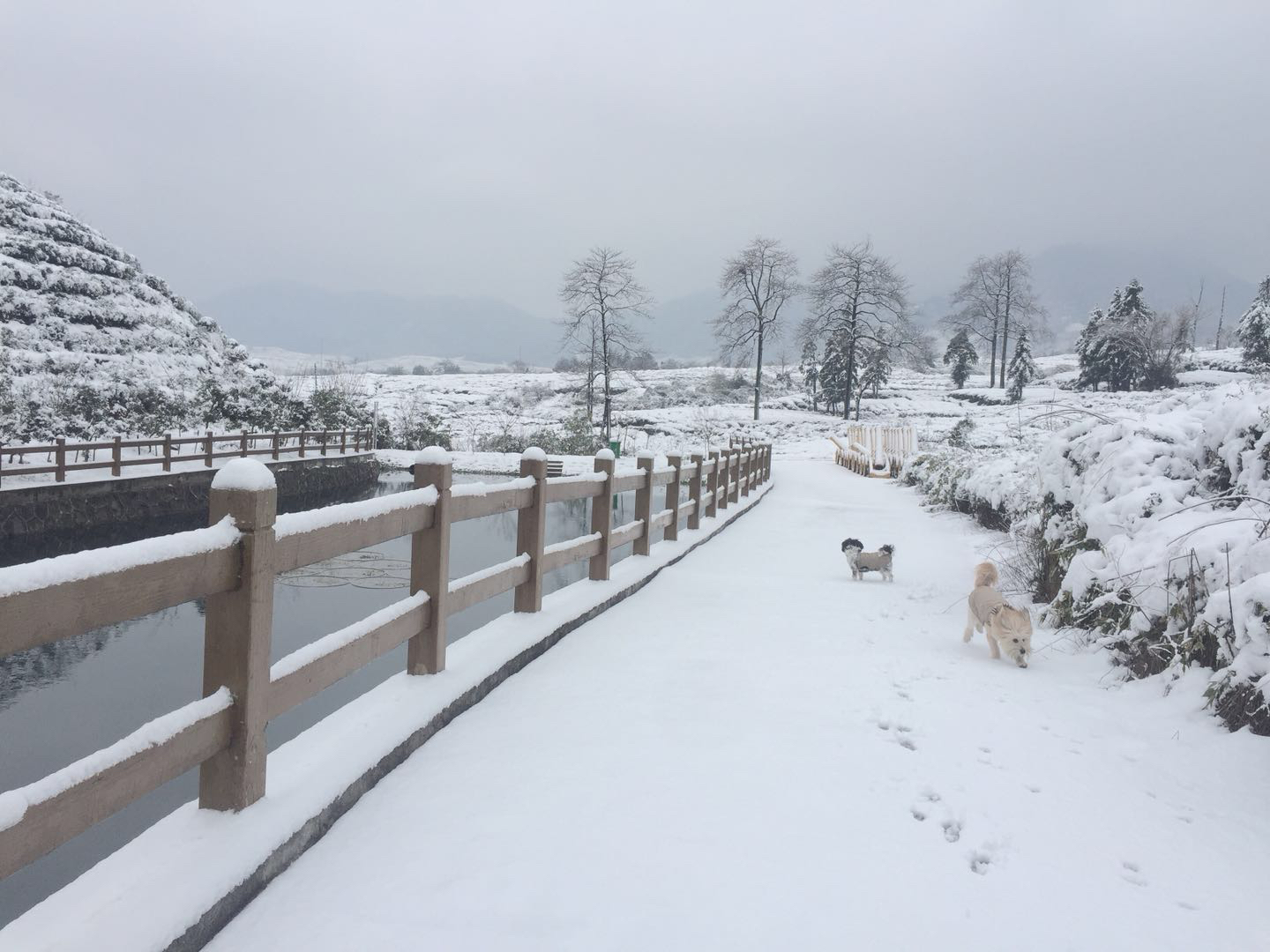 Tongshang Homestay Over view