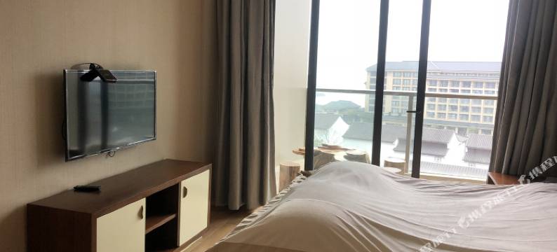 舟山老猫公寓图片