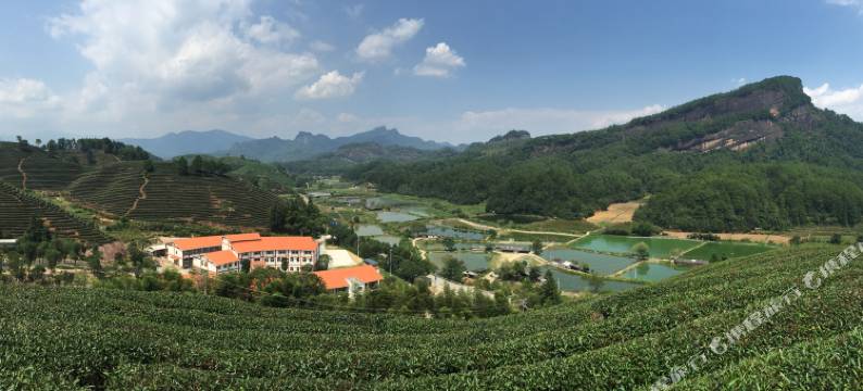 武夷山嘉叶山舍(福莲茶庄园店)图片