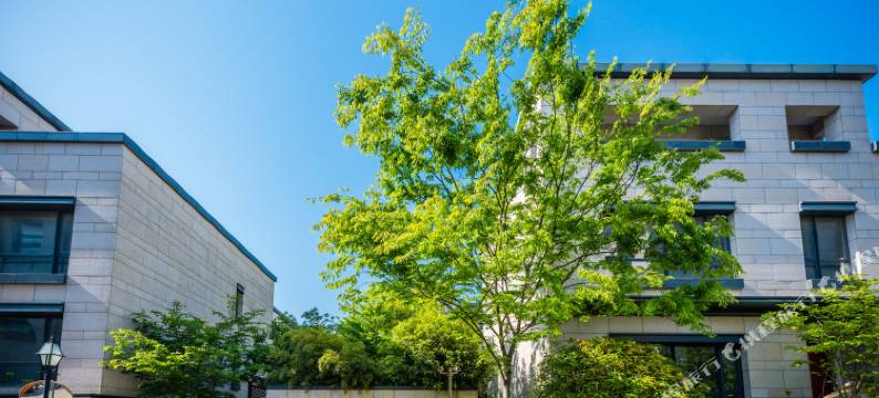 上海卡卡kaka度假别墅(施路村分店)图片