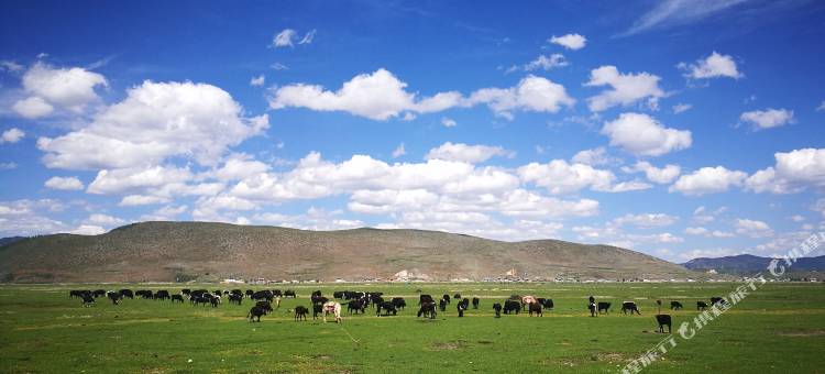 祥曲森巴·素隐传统藏式小院(独克宗古城店)图片