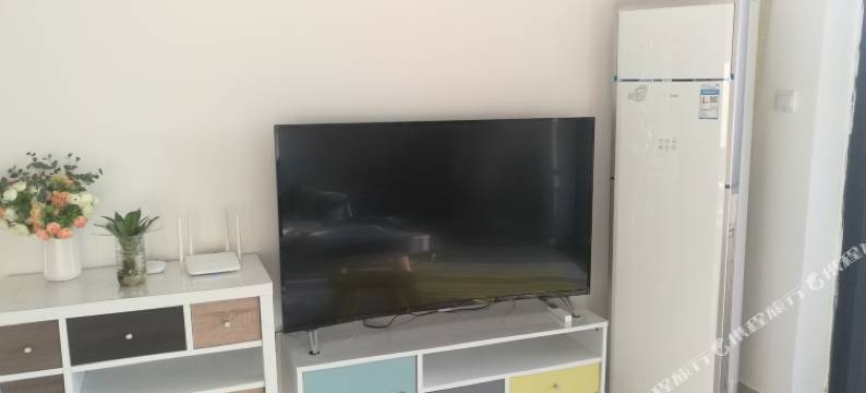 东莞盛夏的果实公寓图片