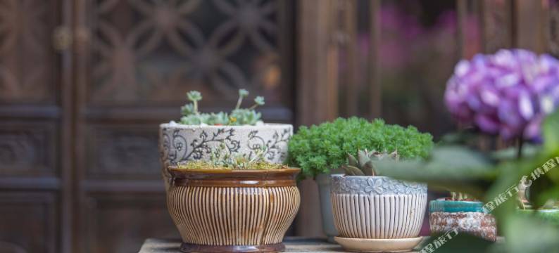 丽江鸿雁居客栈图片