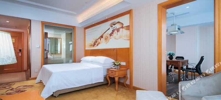 维也纳酒店(镇江火车站西津渡店)图片