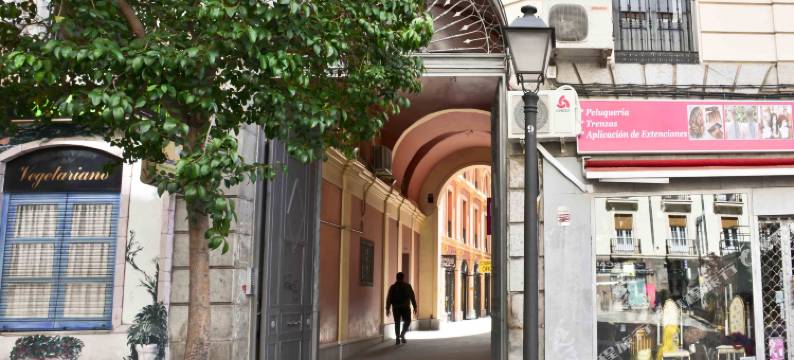 马德里民宿(La Casa Del Madrileño)图片