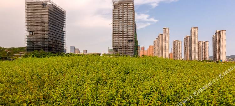 摩登四季荟保利国际公寓(珠海横琴口岸海洋王国店)图片