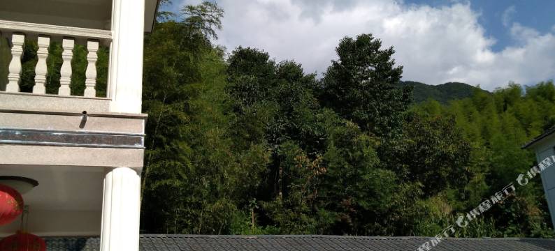 安吉董家小院图片