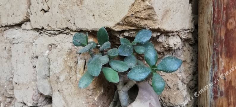 建水归隐民宿图片