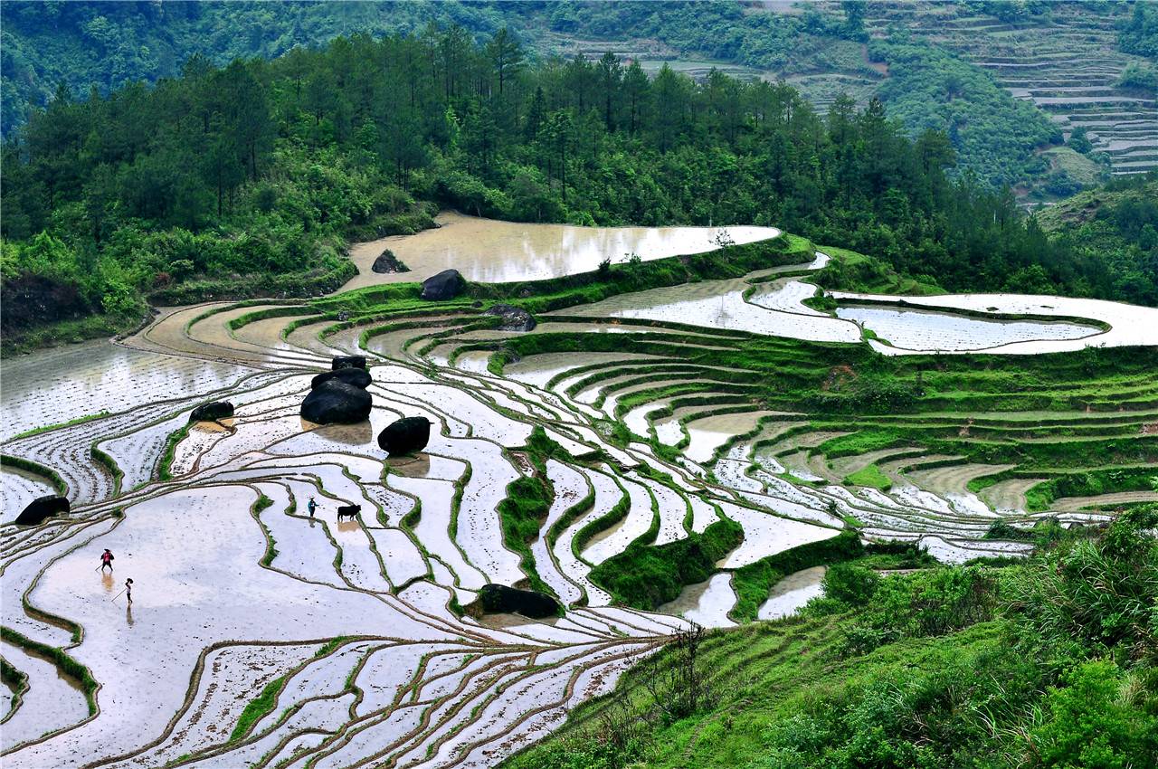 花筑奢·晟境·徒步探险·疗愈森林·度假民宿图片