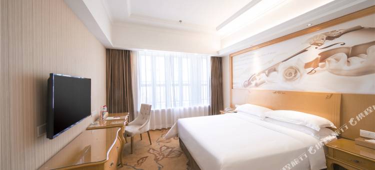 维也纳酒店((LOFT)南昌象湖小蓝工业园店)图片