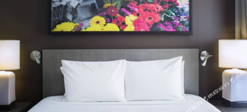 纽约/切尔西凯悦嘉寓酒店(Hyatt House New York/Chelsea)图片