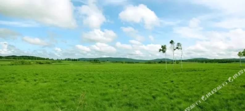 逊克农垦库尔滨酒庄图片