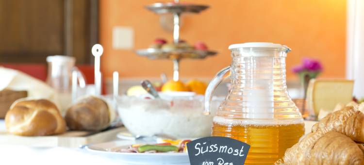 河畔阿勒瑞士品质酒店(Hotel an der Aare Swiss Quality)图片
