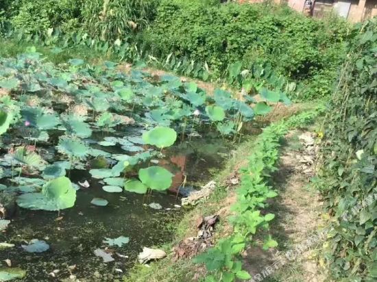 郴州邵慧丽民宿