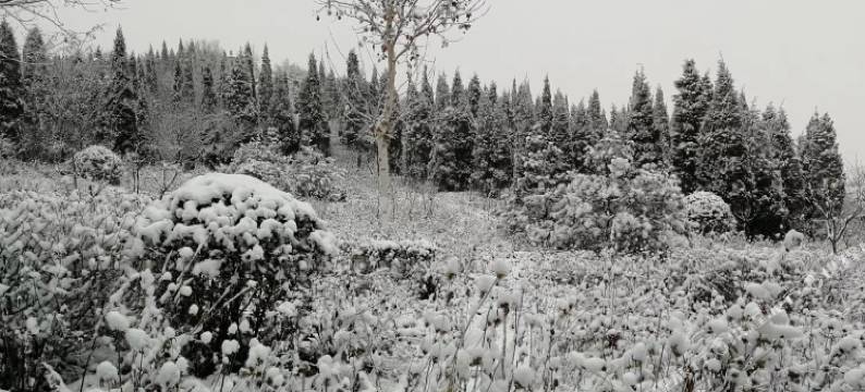 赞皇石臼山宾馆图片