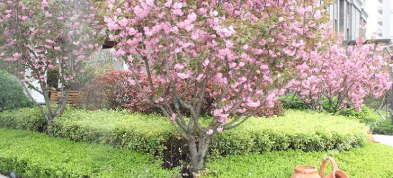 青岛蓝海云舍精品公寓图片