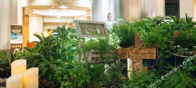 伦敦盖特威克索菲特酒店(Sofitel London Gatwick)图片