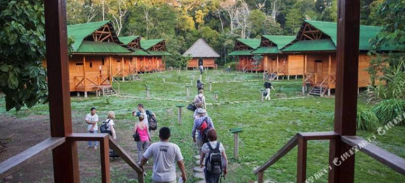 Ecolucerna旅馆Tambopata(Ecolucerna Lodge Tambopata)图片
